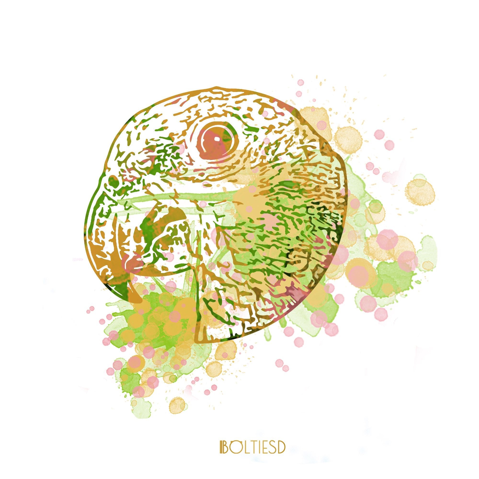 Pet Portrait Design - Boltiesd™